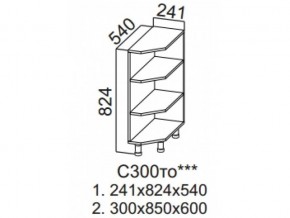 С300то Стол-рабочий 300 (торцевой открытый) в Карталах - kartaly.magazin-mebel74.ru | фото