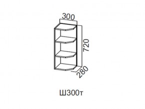 Ш300т/720 Шкаф навесной 300/720 (торцевой) в Карталах - kartaly.magazin-mebel74.ru | фото