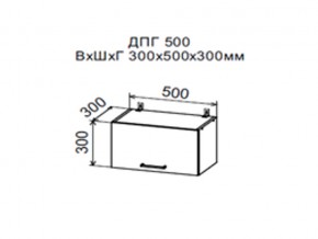 Шкаф верхний ДПГ500 горизонтальный в Карталах - kartaly.magazin-mebel74.ru | фото