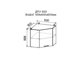 Шкаф верхний ДПУ600 угловой в Карталах - kartaly.magazin-mebel74.ru | фото